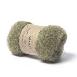 Carded Bergschaf and Maori Melange Wool- Brush-Green 10g
