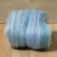 Twinkle Merino Wool Top Frozen 25 Grams