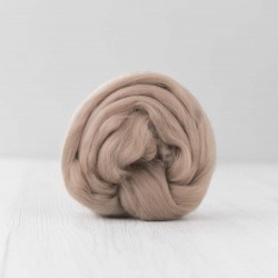  Extra Fine Merino Wool- Earth 10g