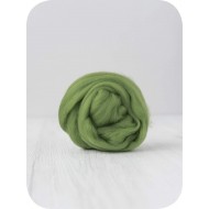  Extra Fine Merino Wool- Leaf Green 10g