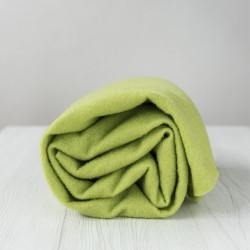  Extra Fine Wool Prefelt- Caipirinha Green